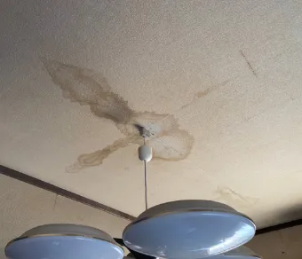 害獣の糞尿による天井のシミ