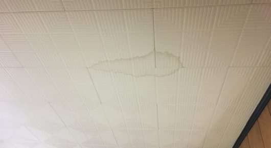 イタチの尿による天井のシミ